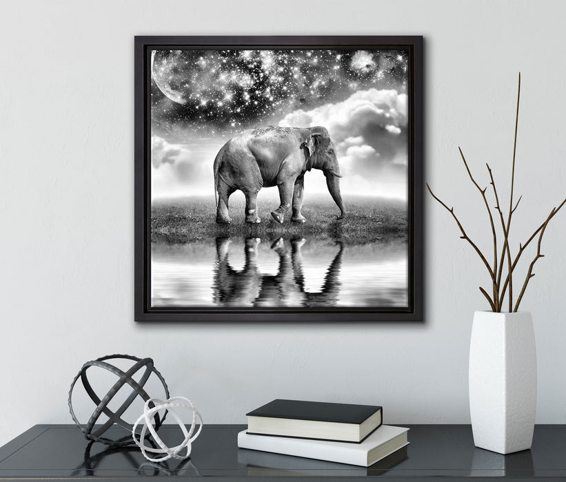 Elefant, Wiese, Himmel, Afrika  auf Leinwandbild Quadratisch gerahmt mit Kirschblüten