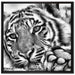 Tiger auf Leinwandbild Quadratisch gerahmt Größe 70x70