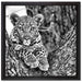 Leopardenbaby auf Leinwandbild Quadratisch gerahmt Größe 40x40