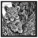 Leopardenbaby auf Leinwandbild Quadratisch gerahmt Größe 60x60