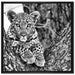 Leopardenbaby auf Leinwandbild Quadratisch gerahmt Größe 70x70