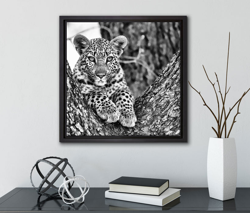 Leopardenbaby  auf Leinwandbild Quadratisch gerahmt mit Kirschblüten