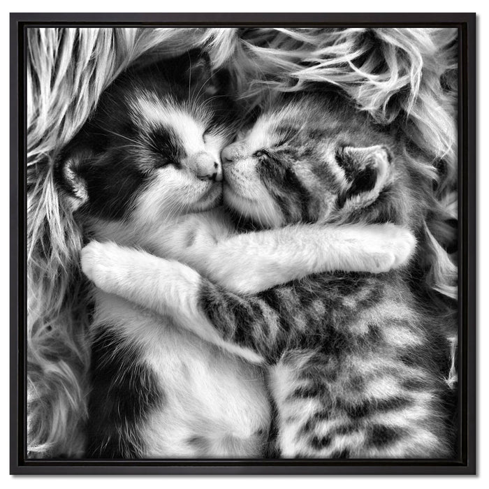 Zwei kuschelnde Kätzchen auf Leinwandbild Quadratisch gerahmt Größe 60x60