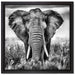 Imposanter Elefant auf Leinwandbild Quadratisch gerahmt Größe 40x40