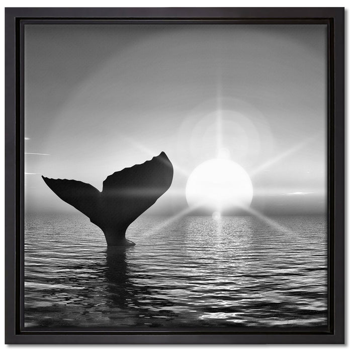 Walflosse im Sonnenuntergang auf Leinwandbild Quadratisch gerahmt Größe 40x40