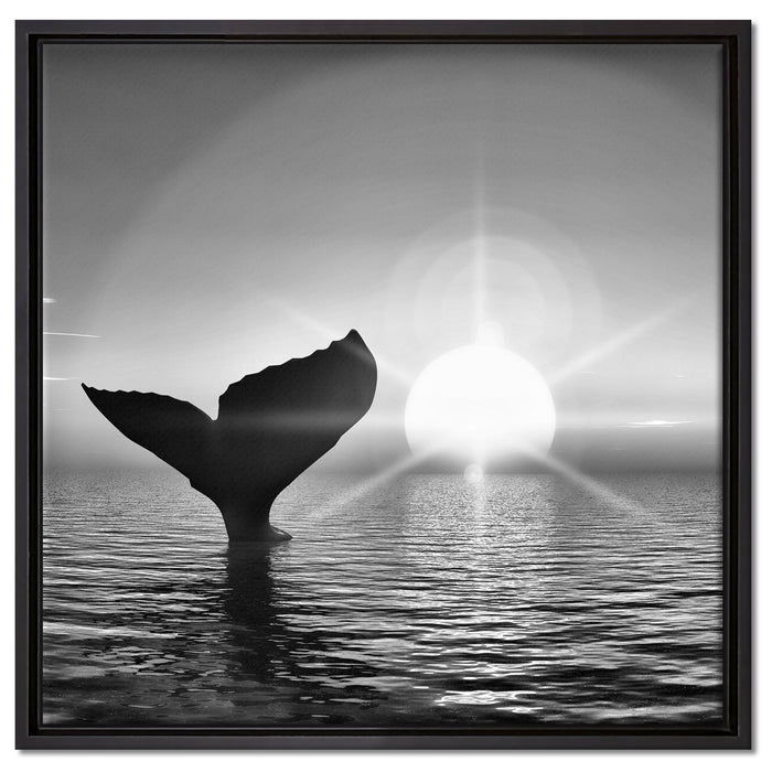 Walflosse im Sonnenuntergang auf Leinwandbild Quadratisch gerahmt Größe 60x60