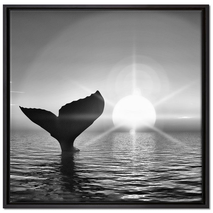 Walflosse im Sonnenuntergang auf Leinwandbild Quadratisch gerahmt Größe 70x70