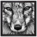 Fuchs Porträt auf Leinwandbild Quadratisch gerahmt Größe 40x40