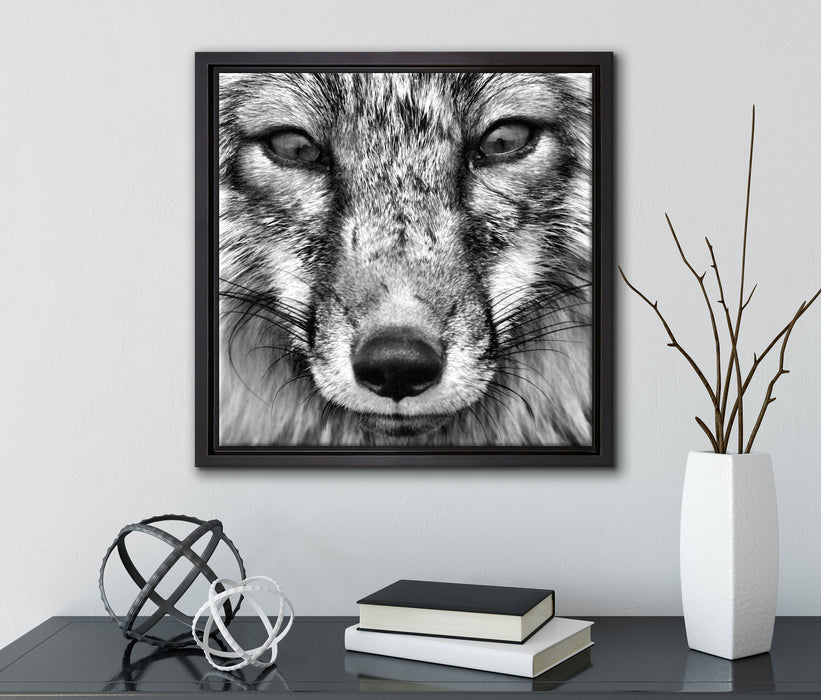 Fuchs Porträt  auf Leinwandbild Quadratisch gerahmt mit Kirschblüten