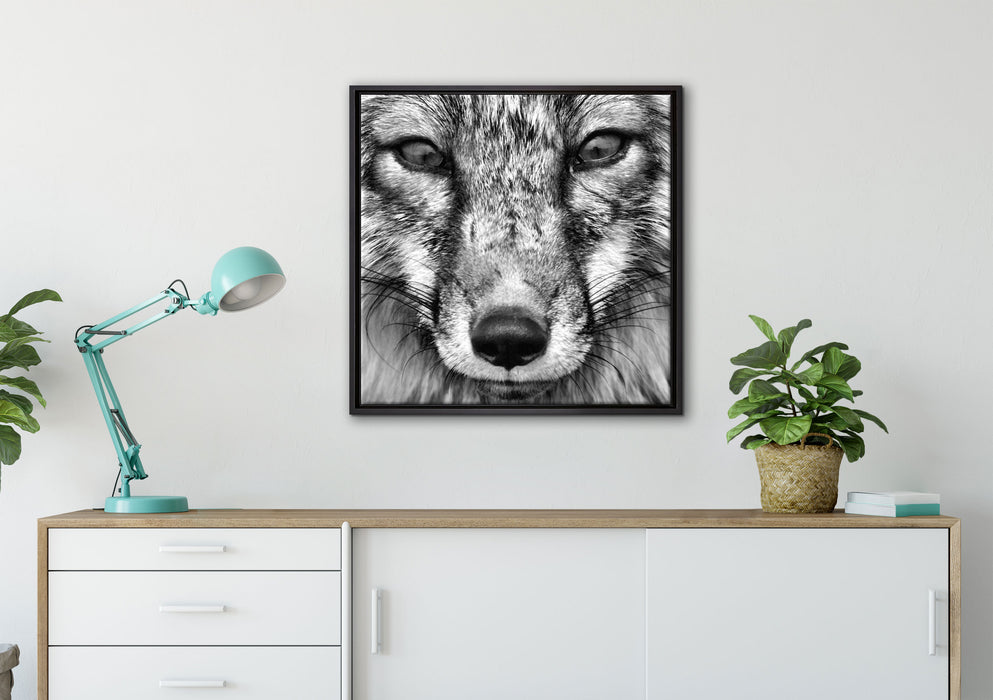 Fuchs Porträt auf Leinwandbild gerahmt Quadratisch verschiedene Größen im Wohnzimmer
