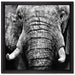 Elefant Porträt auf Leinwandbild Quadratisch gerahmt Größe 40x40