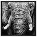 Elefant Porträt auf Leinwandbild Quadratisch gerahmt Größe 60x60