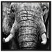 Elefant Porträt auf Leinwandbild Quadratisch gerahmt Größe 70x70