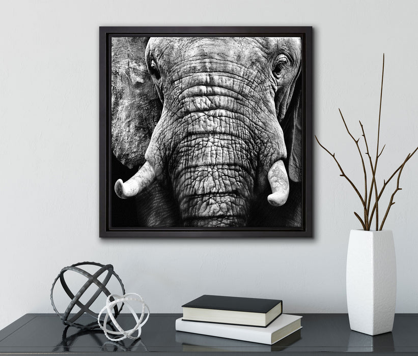 Elefant Porträt  auf Leinwandbild Quadratisch gerahmt mit Kirschblüten