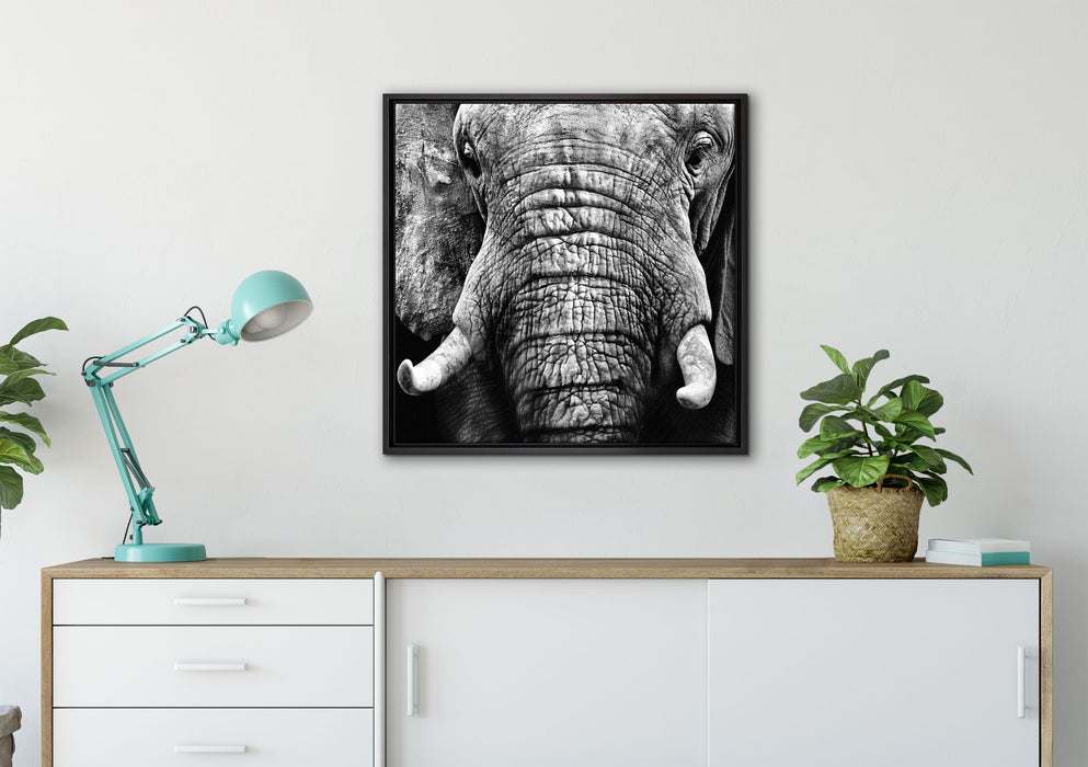 Elefant Porträt auf Leinwandbild gerahmt Quadratisch verschiedene Größen im Wohnzimmer