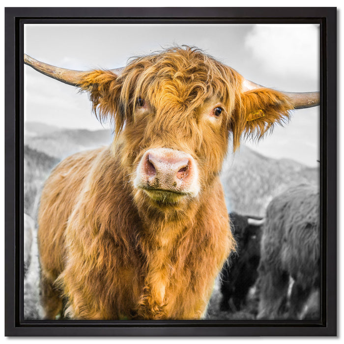 Blick einer Kuh an der Weide auf Leinwandbild Quadratisch gerahmt Größe 40x40
