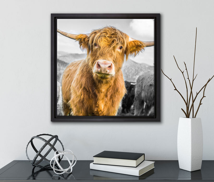 Blick einer Kuh an der Weide  auf Leinwandbild Quadratisch gerahmt mit Kirschblüten