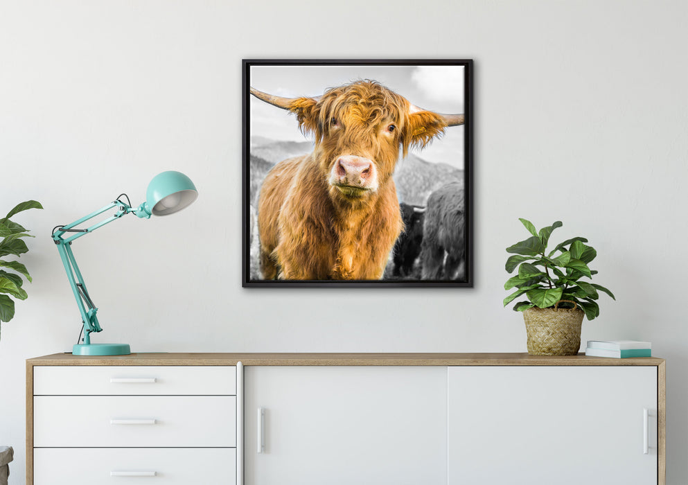 Blick einer Kuh an der Weide auf Leinwandbild gerahmt Quadratisch verschiedene Größen im Wohnzimmer