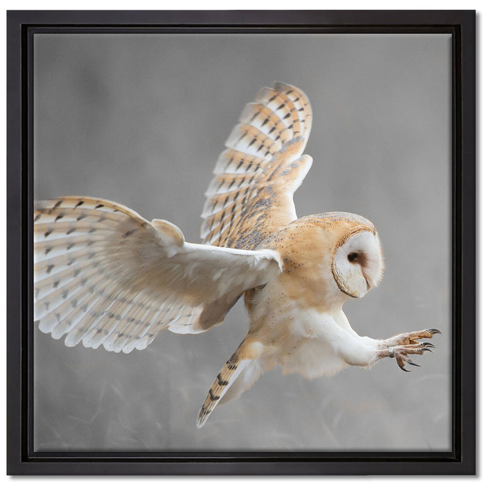 Fliegende Weiße Eule bei der Jagd auf Leinwandbild Quadratisch gerahmt Größe 40x40
