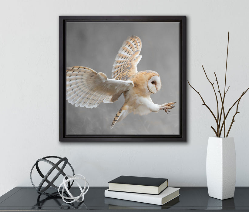 Fliegende Weiße Eule bei der Jagd  auf Leinwandbild Quadratisch gerahmt mit Kirschblüten