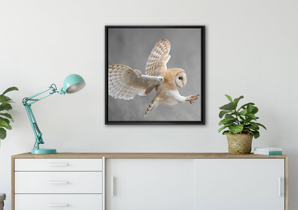 Fliegende Weiße Eule bei der Jagd auf Leinwandbild gerahmt Quadratisch verschiedene Größen im Wohnzimmer