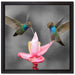 Kolibris in den Tropen auf Leinwandbild Quadratisch gerahmt Größe 40x40