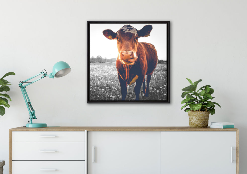 Kuh auf Butterblumenwiese auf Leinwandbild gerahmt Quadratisch verschiedene Größen im Wohnzimmer