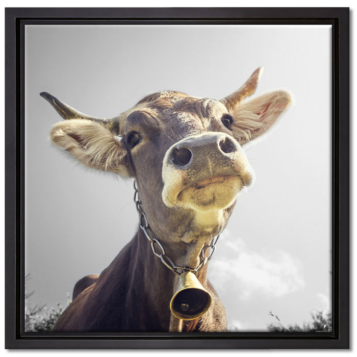 Lustiges Portrait einer Kuh auf Leinwandbild Quadratisch gerahmt Größe 40x40