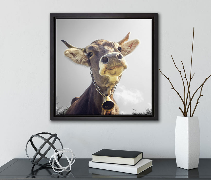 Lustiges Portrait einer Kuh  auf Leinwandbild Quadratisch gerahmt mit Kirschblüten