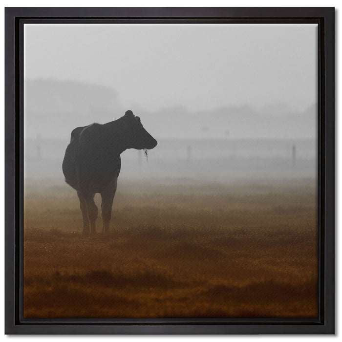 eine fressende Kuh auf der Weide auf Leinwandbild Quadratisch gerahmt Größe 40x40