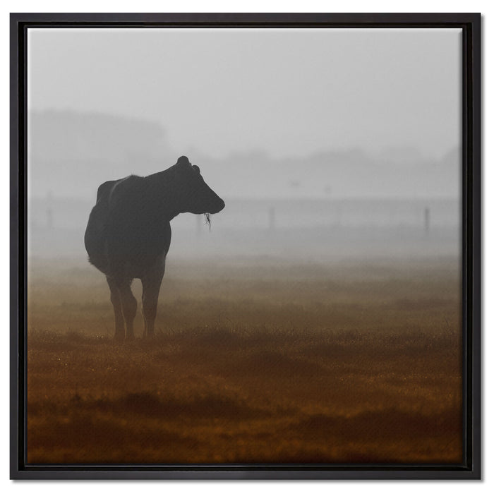 eine fressende Kuh auf der Weide auf Leinwandbild Quadratisch gerahmt Größe 60x60