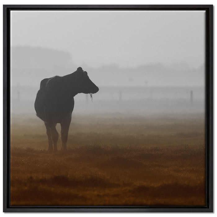 eine fressende Kuh auf der Weide auf Leinwandbild Quadratisch gerahmt Größe 70x70