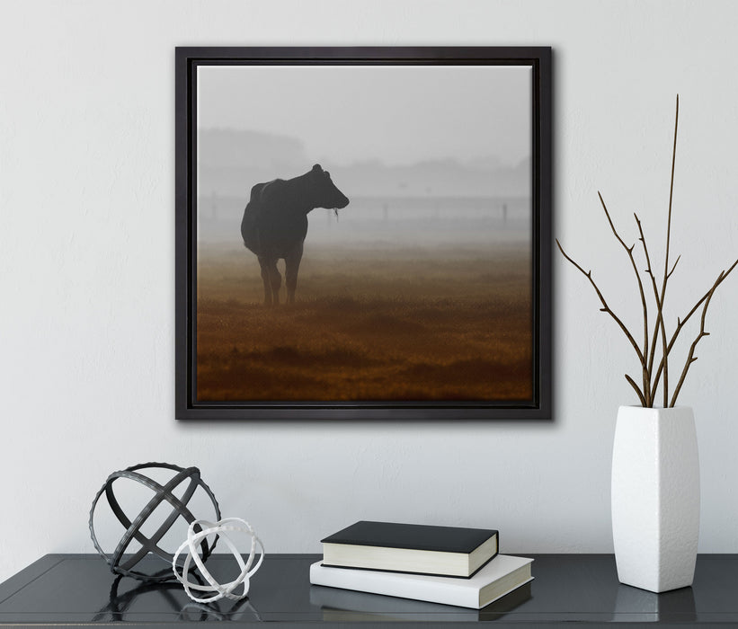 eine fressende Kuh auf der Weide  auf Leinwandbild Quadratisch gerahmt mit Kirschblüten