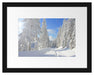 Winterlandschaft Bäume Passepartout 38x30
