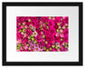 Blumen Passepartout 38x30