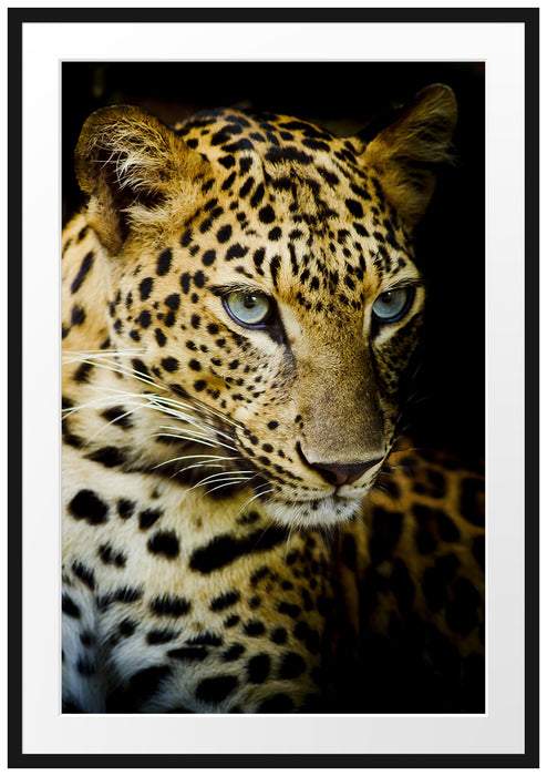 Pixxprint Leopard mit blauen Augen, im Galerie-Passepartout Bilderrahmen