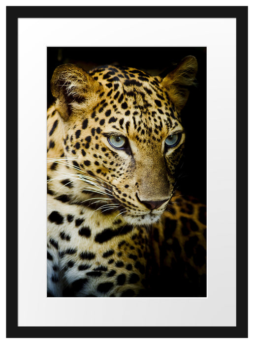 Leopard mit blauen Augen Passepartout 55x40