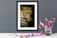 Leopard mit blauen Augen Passepartout Wohnzimmer
