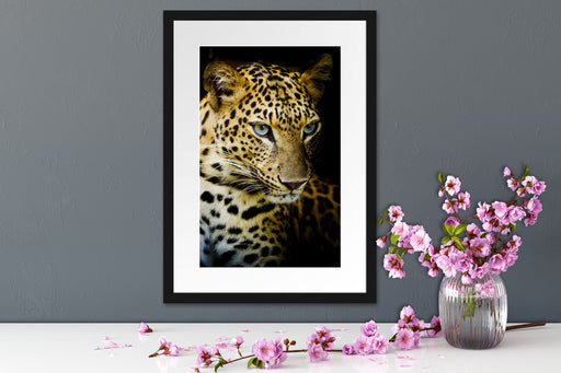 Leopard mit blauen Augen Passepartout Wohnzimmer