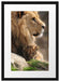 Löwe mit Löwenbaby Passepartout 55x40
