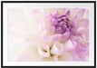 Traumhafte lila weiße Blüte Passepartout 100x70