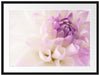 Traumhafte lila weiße Blüte Passepartout 80x60