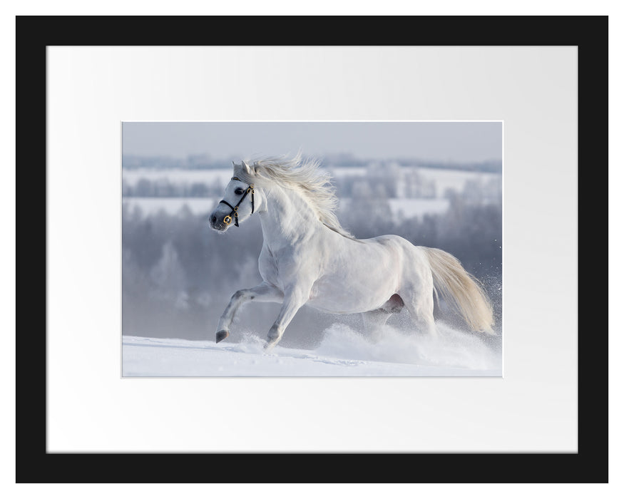 Weißes Pferd auf Schneewiese Passepartout 38x30
