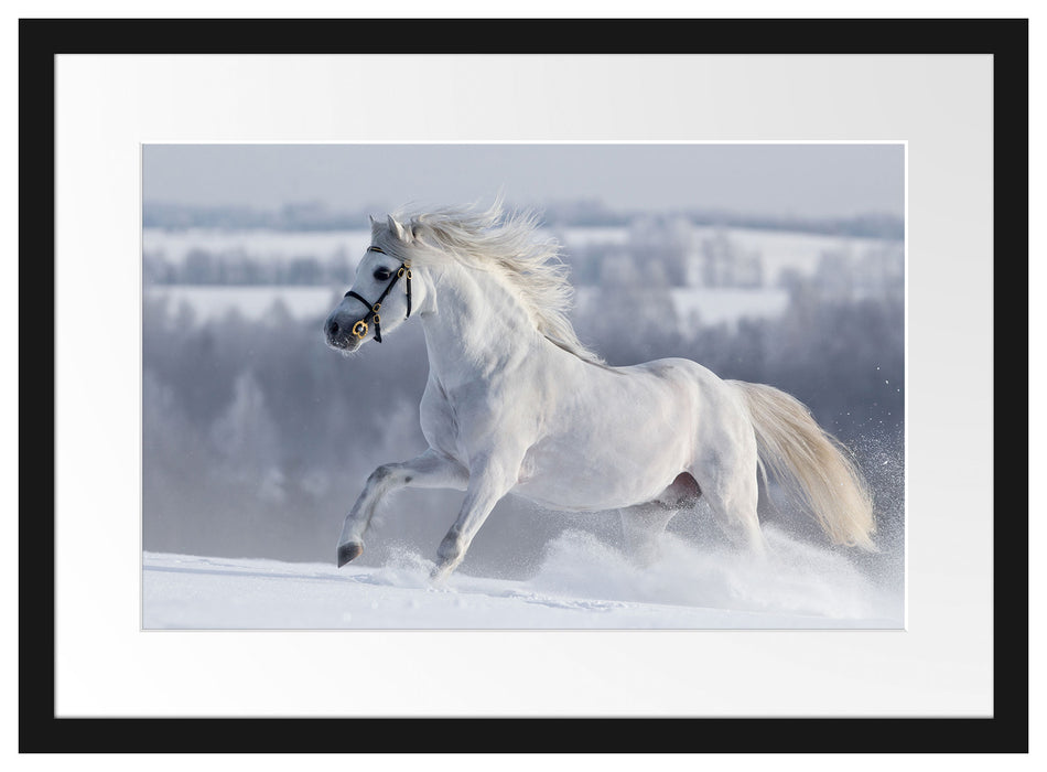 Weißes Pferd auf Schneewiese Passepartout 55x40