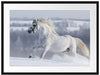 Weißes Pferd auf Schneewiese Passepartout 80x60