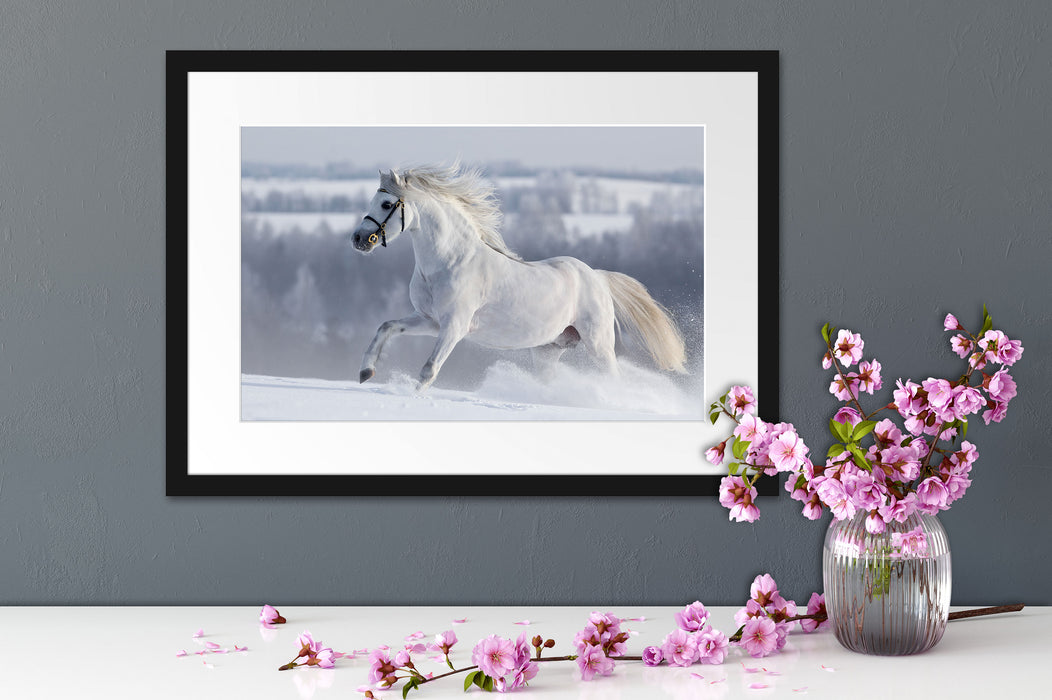 Weißes Pferd auf Schneewiese Passepartout Wohnzimmer