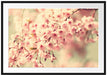 Kirschblüten Passepartout 100x70