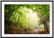 Sonnenstrahlen Waldweg Passepartout 100x70
