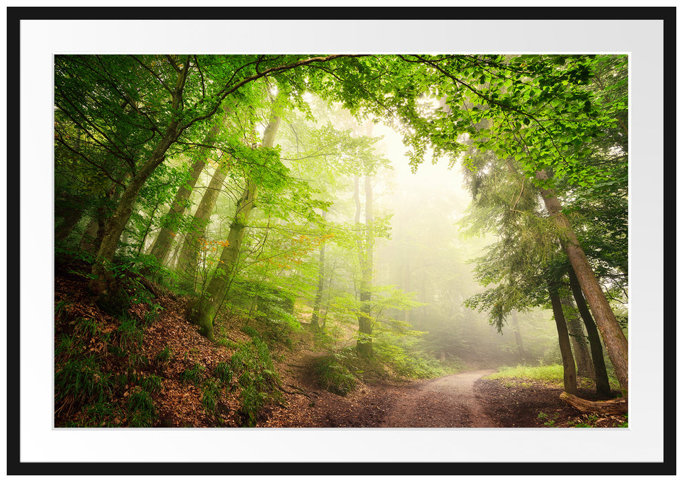 Sonnenstrahlen Waldweg Passepartout 100x70