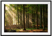 Bäume im Licht Passepartout 100x70